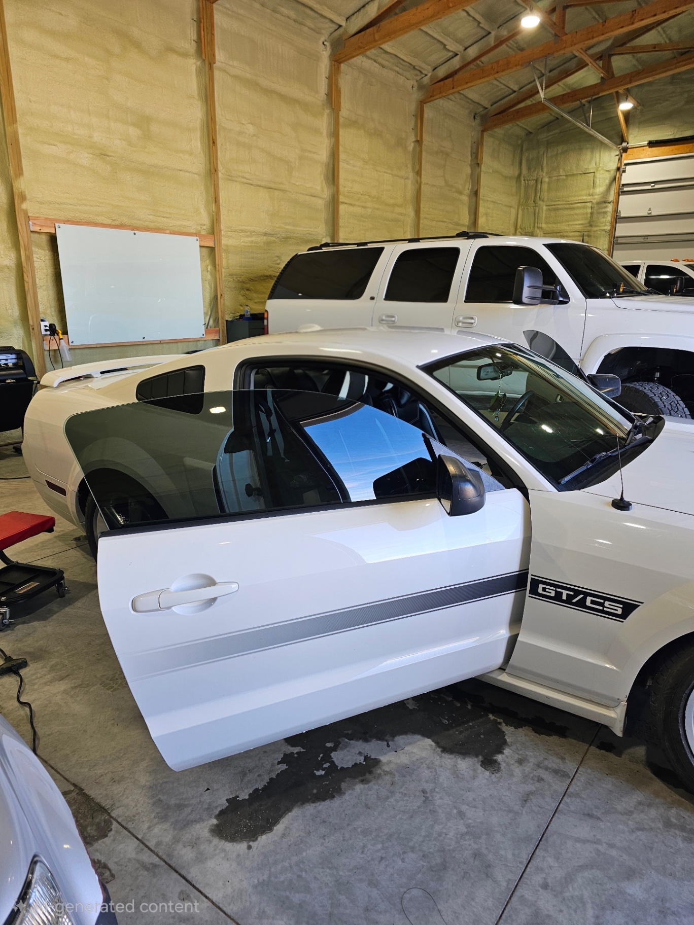 Mustang GT/CS door open showing fresh tint install